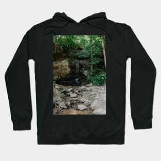 stream in the forest Hoodie